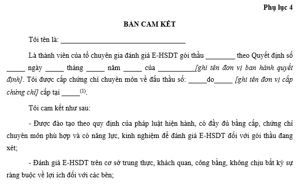 mẫu bản cam kết ảnh