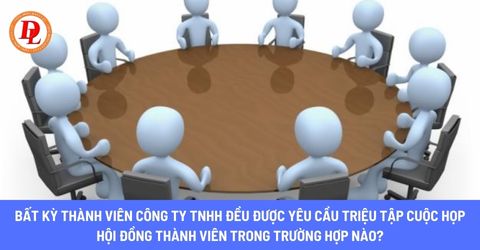 hop-hoi-dong