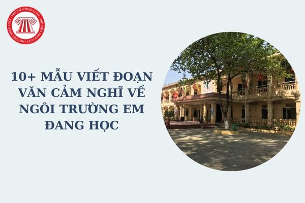 10+ Mẫu viết đoạn văn cảm nghĩ về ngôi trường em đang học dành cho học sinh cấp 1, cấp 2? Yêu cầu về viết đoạn văn?