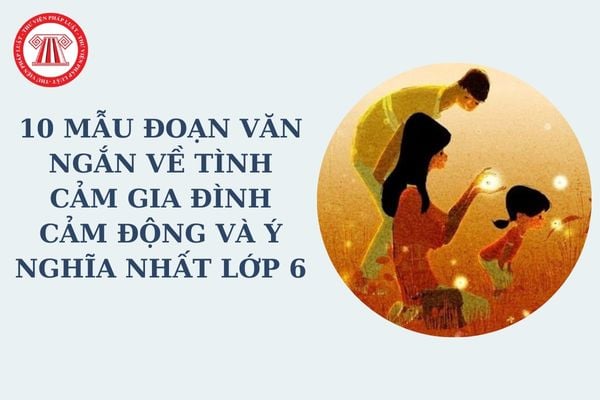 10 mẫu đoạn văn ngắn về tình cảm gia đình cảm động và ý nghĩa nhất lớp 6? Mẫu đánh giá đoạn văn ngắn của học sinh lớp 6?