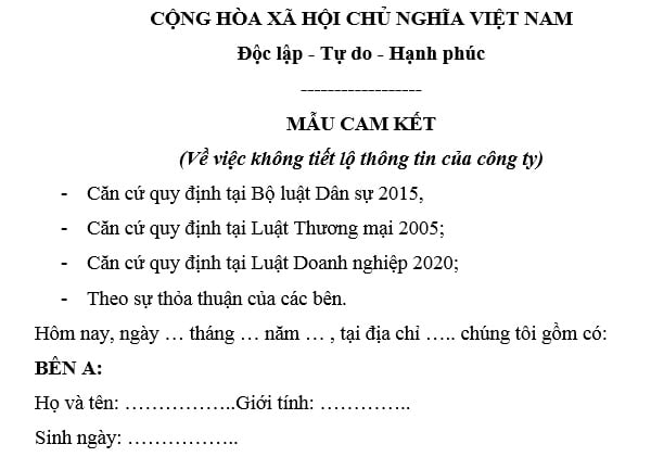 mẫu cam kết 2