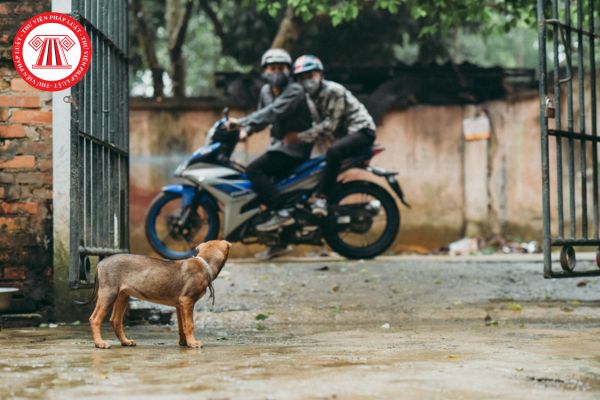 Kẻ trộm chó bị phạt tù hay phạt tiền? Đánh kẻ trộm chó thì có phải bồi thường không? Thời hiệu xử phạt là bao lâu?