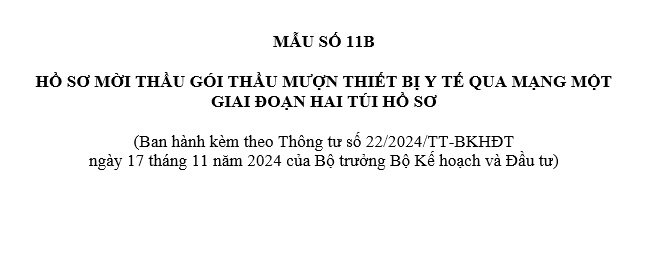 mẫu số 11 b