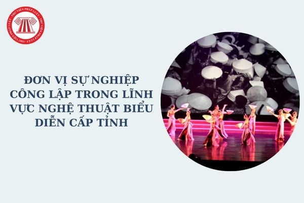 Đơn vị sự nghiệp công lập trong lĩnh vực nghệ thuật biểu diễn cấp tỉnh có chức năng gì? Có tư cách pháp nhân không?