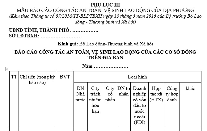 Mẫu báo cáo địa phương