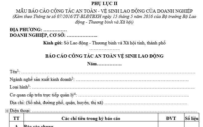 Mẫu báo cáo doanh nghiệp