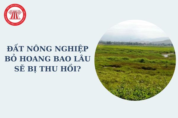 Đất nông nghiệp bỏ hoang bao lâu sẽ bị thu hồi? Những trường hợp bất khả kháng không bị thu hồi đất do bỏ hoang không sử dụng là gì?