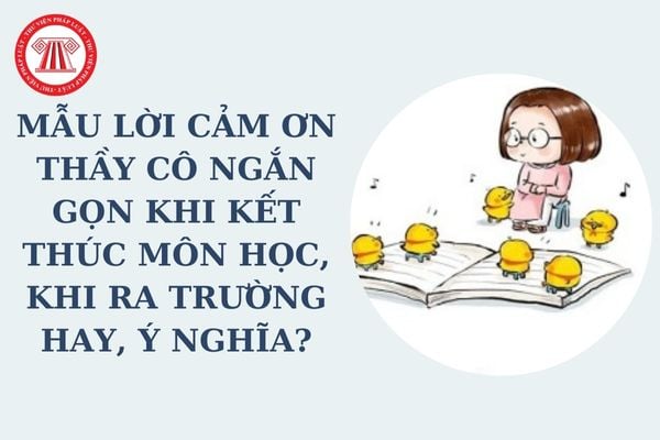 Mẫu lời cảm ơn thầy cô ngắn gọn khi kết thúc môn học, khi ra trường hay, ý nghĩa? Thi kết thúc môn học theo Thông tư 15?