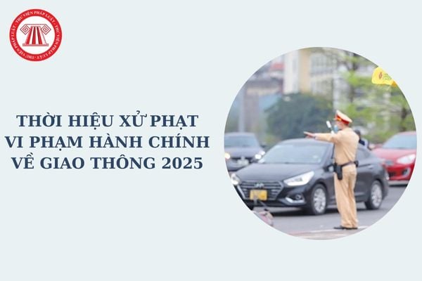 Thời hiệu xử phạt vi phạm hành chính về giao thông 2025 là bao lâu? Các hình thức xử phạt vi phạm chính trong lĩnh vực giao thông đường bộ?