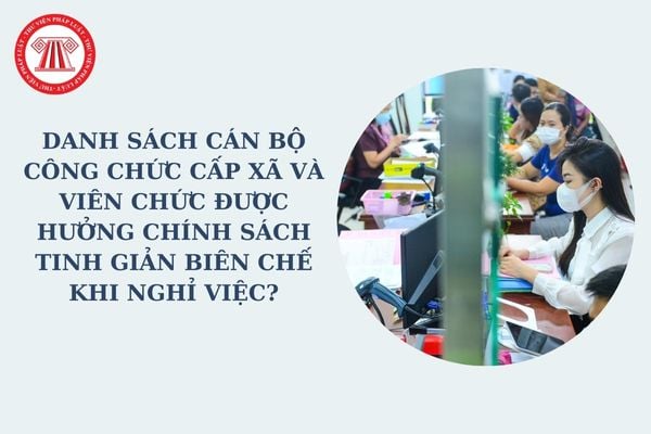 Nghị định 29 về sáp nhập xã: Danh sách cán bộ công chức cấp xã và viên chức được hưởng chính sách tinh giản biên chế khi nghỉ việc?