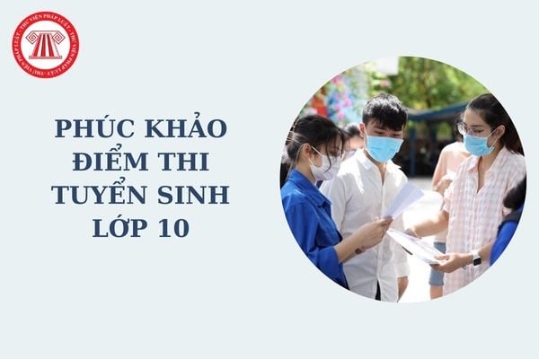 Phúc khảo điểm thi tuyển sinh lớp 10 là gì? Quy trình chấm phúc khảo bài thi tuyển sinh lớp 10 thế nào theo Thông tư 30?