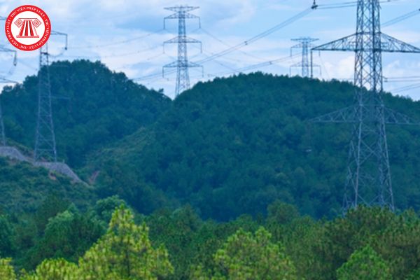 Cơ quan nào có trách nhiệm kiểm tra việc thực hiện tạm sử dụng rừng của chủ đầu tư dự án điện lưới?