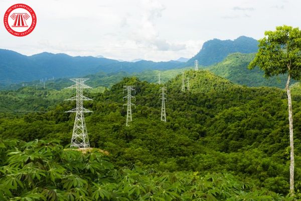 Dự án lưới điện có tạm sử dụng rừng thì có được phép chuyển mục đích sử dụng rừng sang mục đích khác đối với diện tích đang tạm sử dụng hay không?
