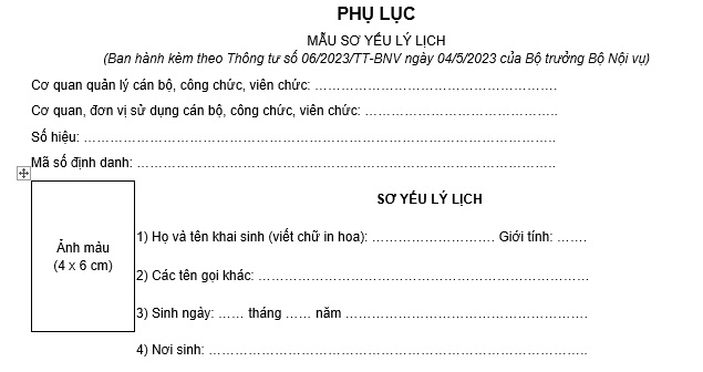 Mẫu sơ yếu lịch lịch