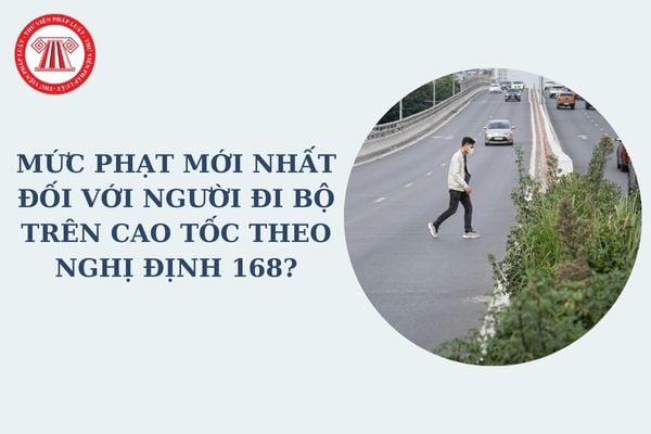 Mức phạt mới nhất đối với người đi bộ trên cao tốc theo Nghị định 168? Các lỗi vi phạm và mức phạt đối với người đi bộ?