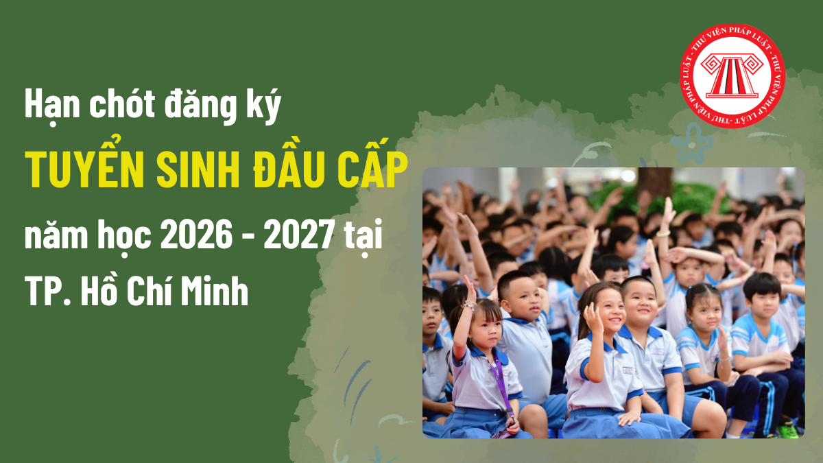 Pháp luật