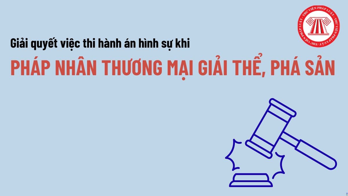 Pháp luật