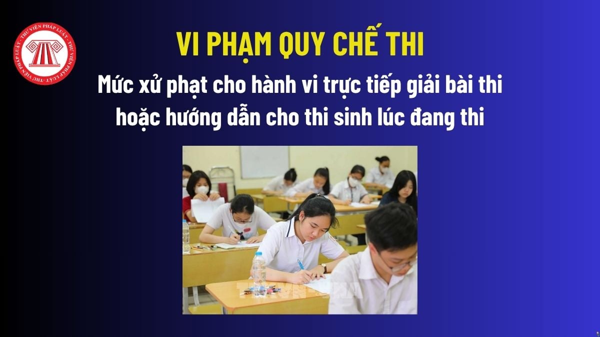 Pháp luật