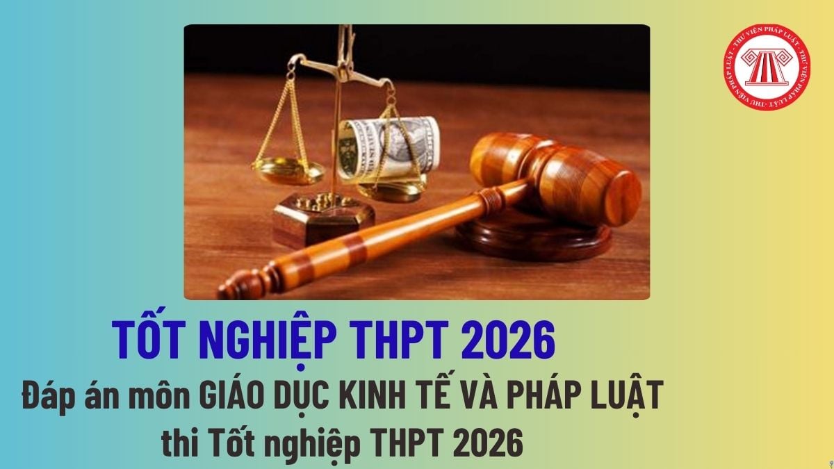 Pháp luật