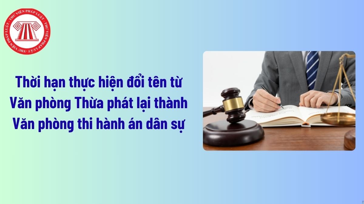 Pháp luật