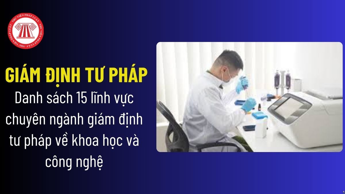 Pháp luật