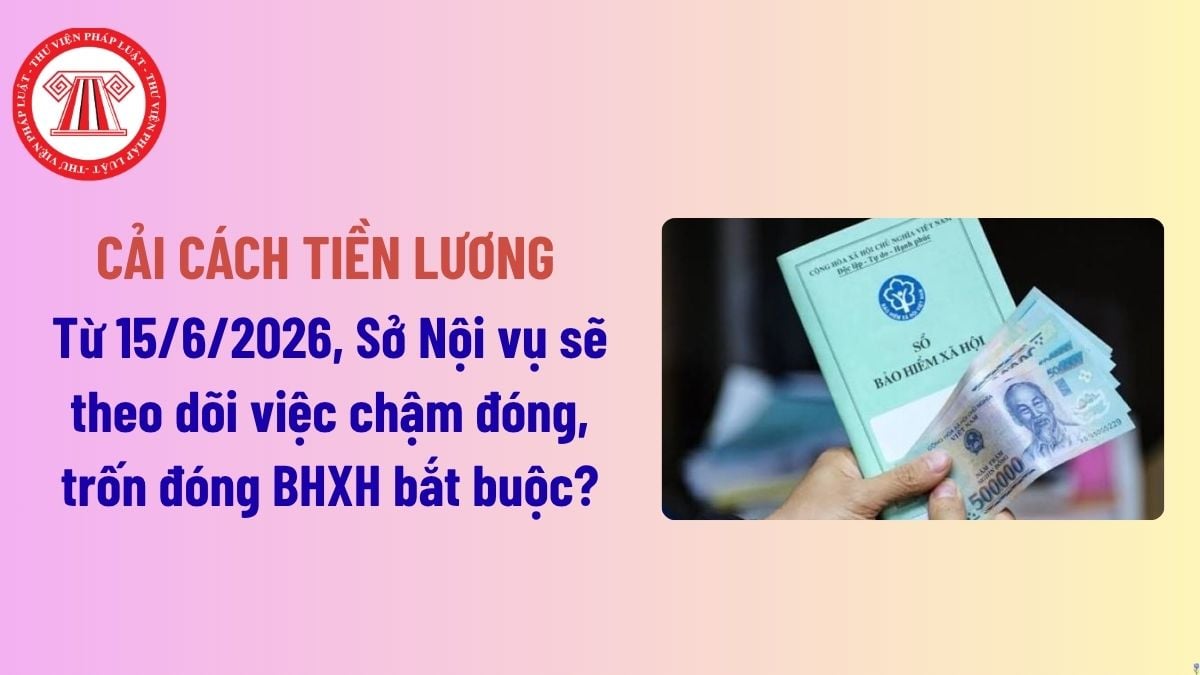 Pháp luật