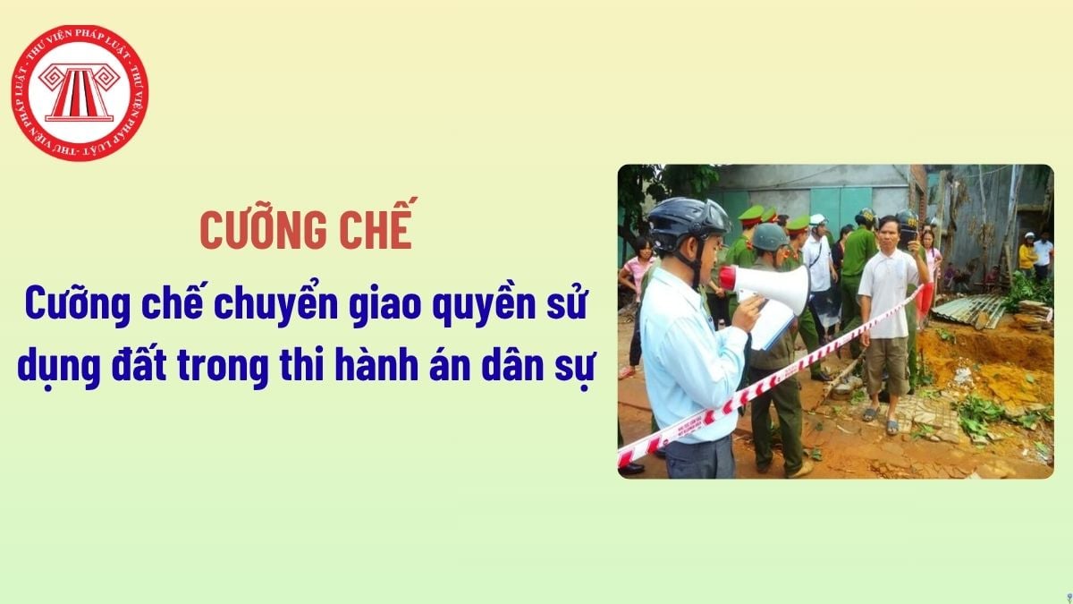 Pháp luật