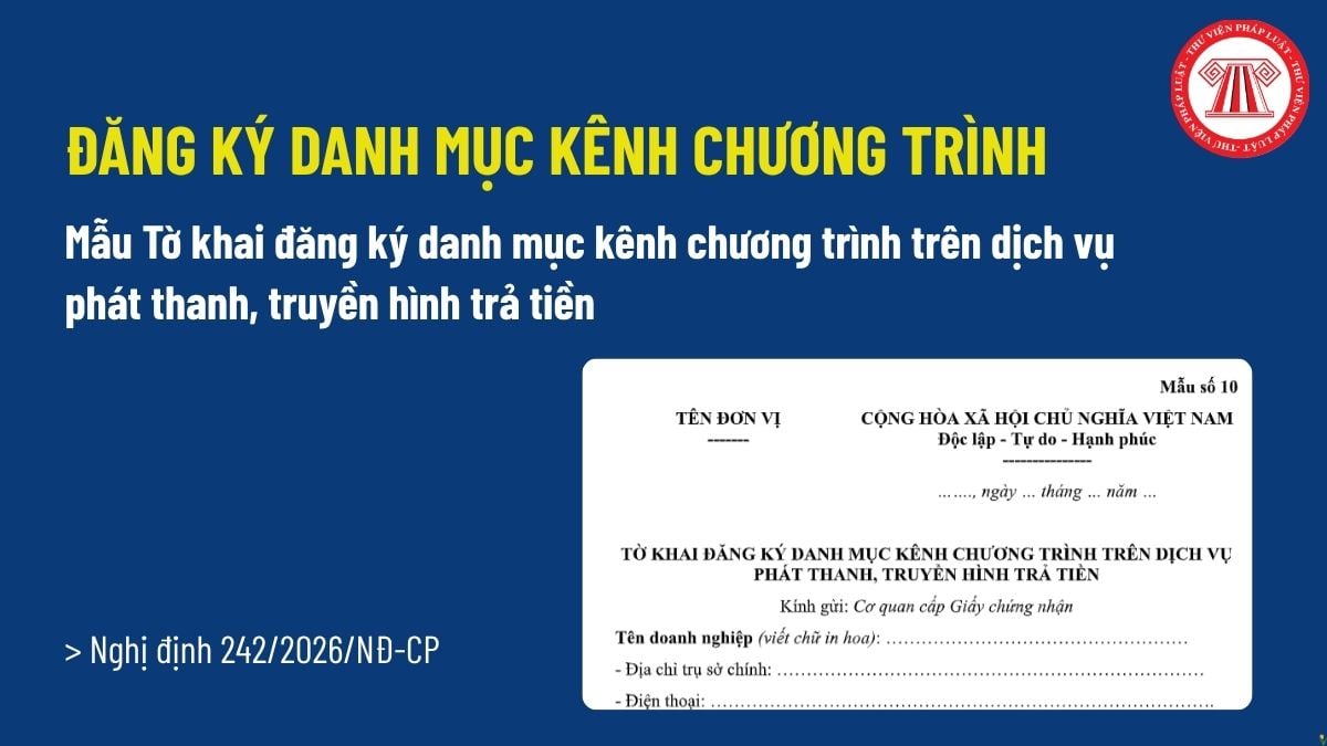 Pháp luật