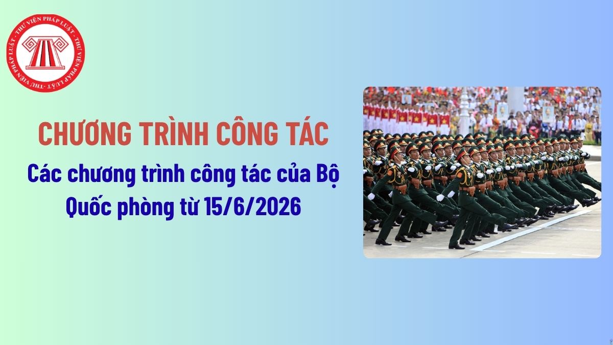 Pháp luật
