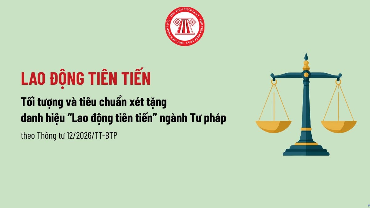 Pháp luật