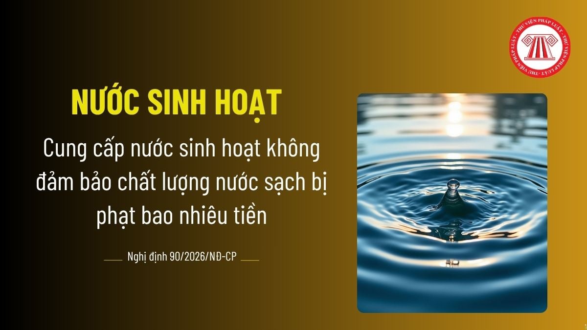 Pháp luật