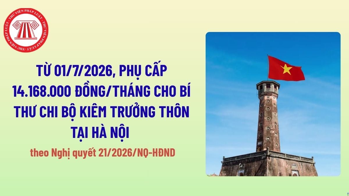 Pháp luật