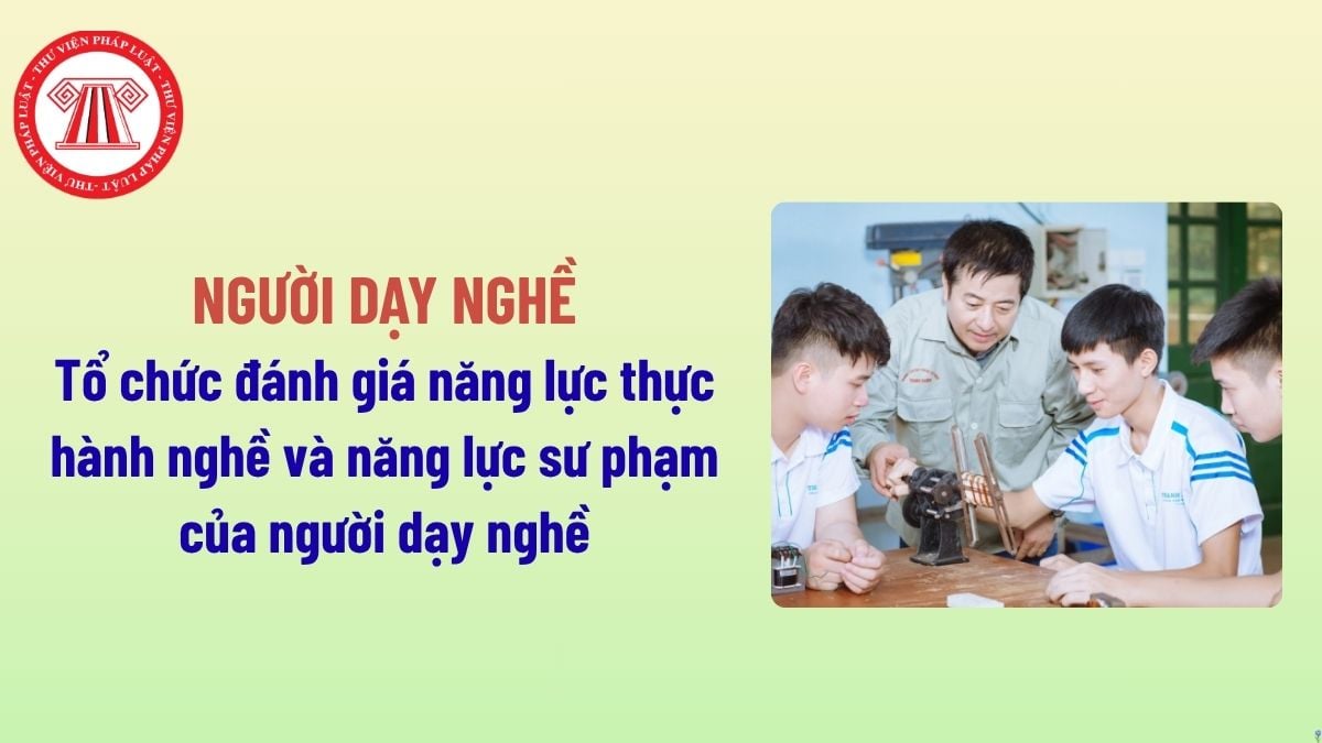 Pháp luật
