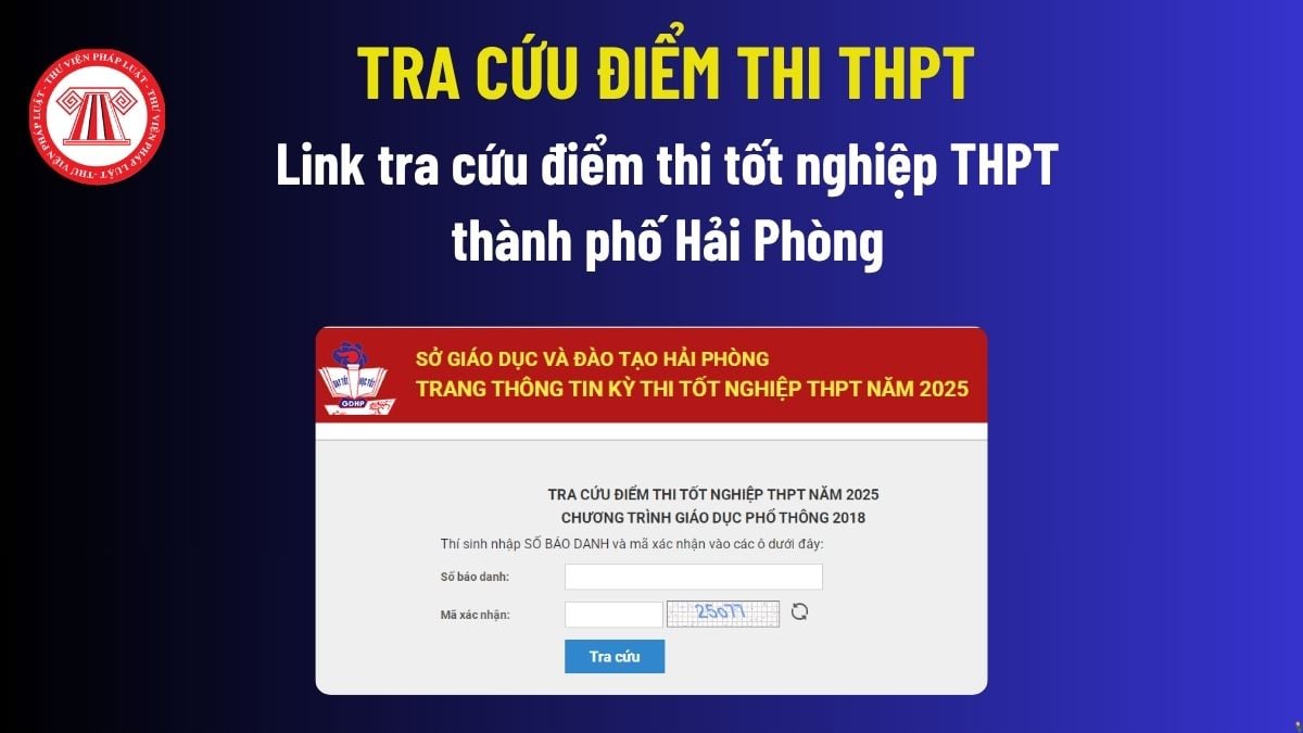 Pháp luật