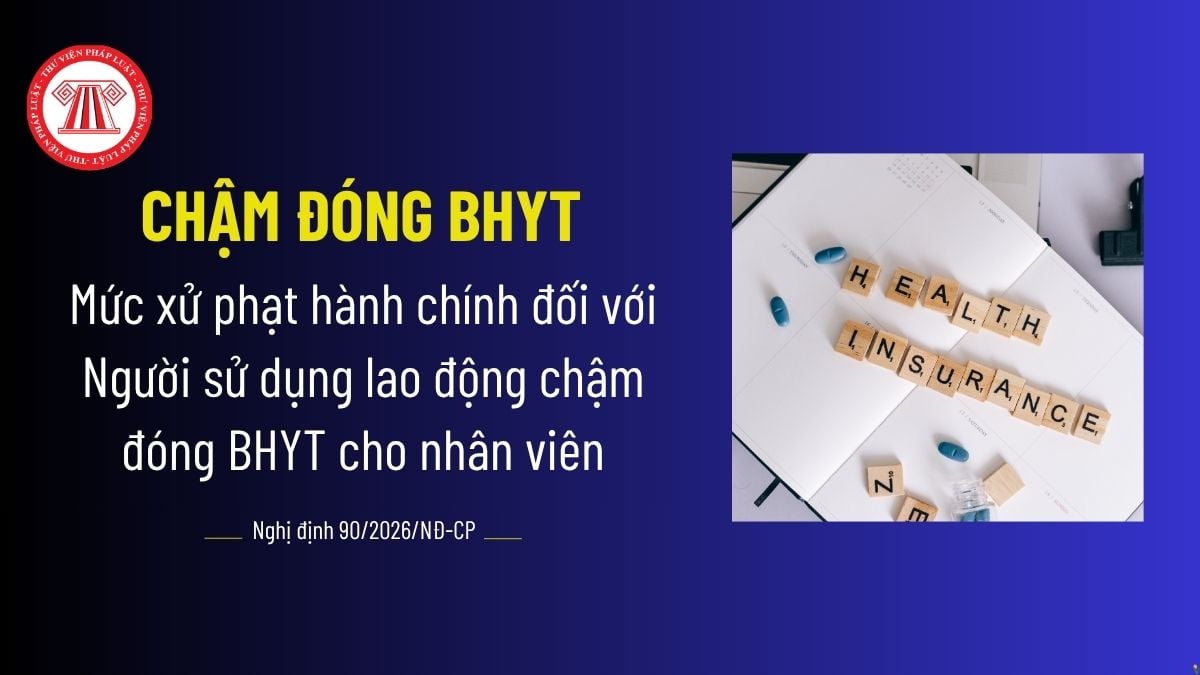 Pháp luật