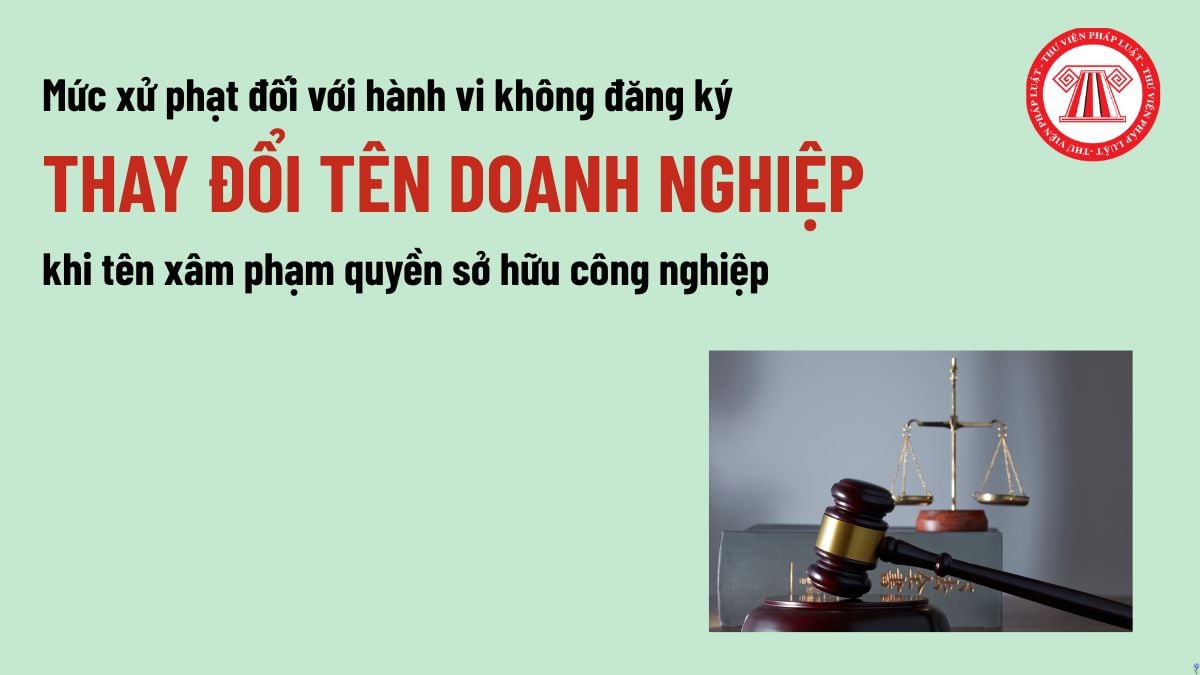 Pháp luật