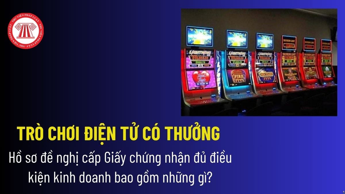 Pháp luật