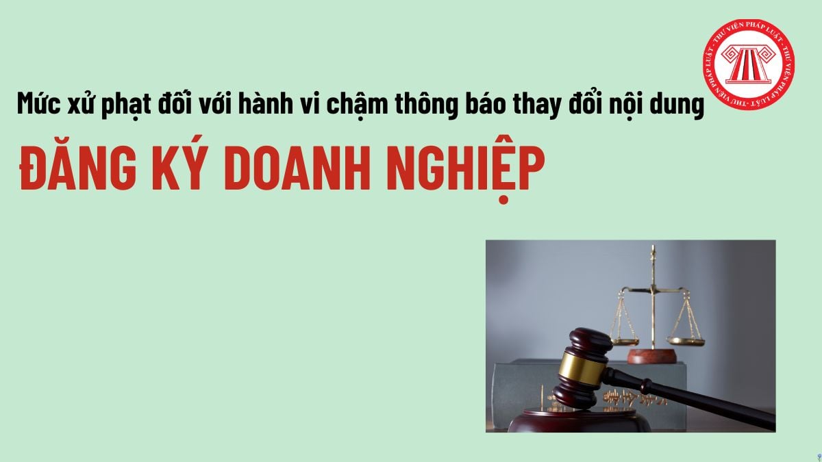 Pháp luật