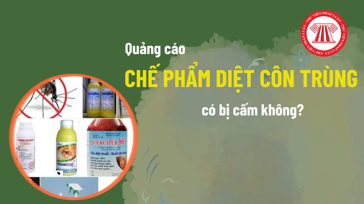 Pháp luật