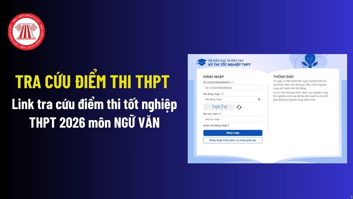 Pháp luật