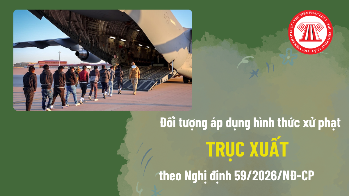 Pháp luật