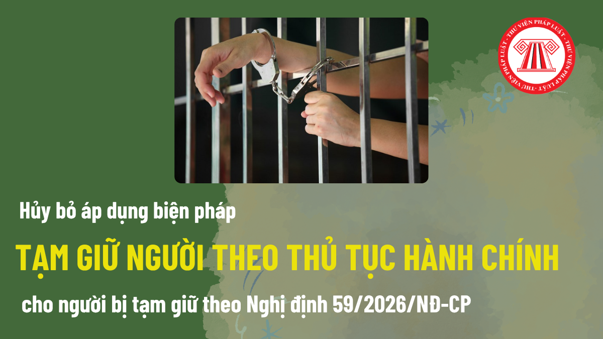 Pháp luật