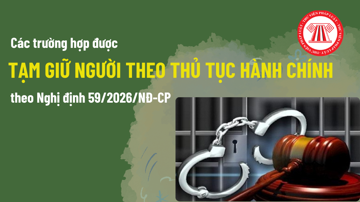 Pháp luật
