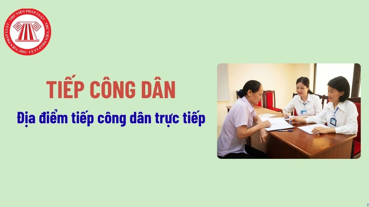 Pháp luật