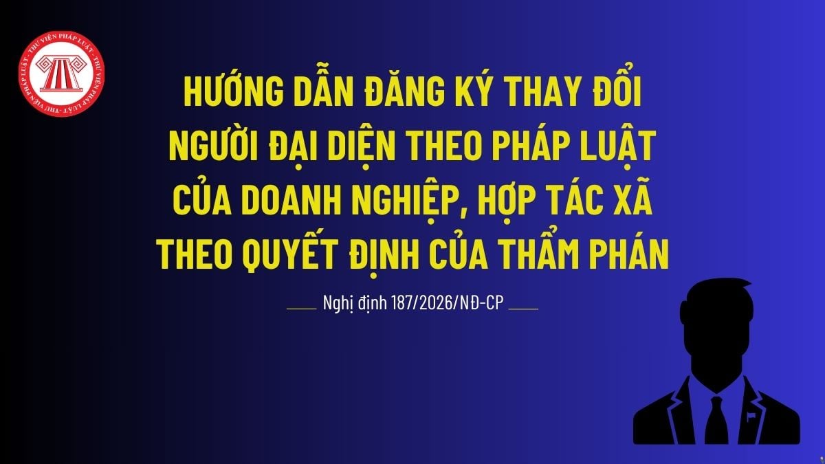 Pháp luật