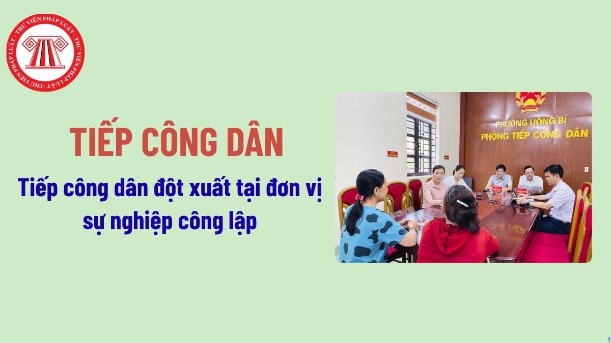 Pháp luật