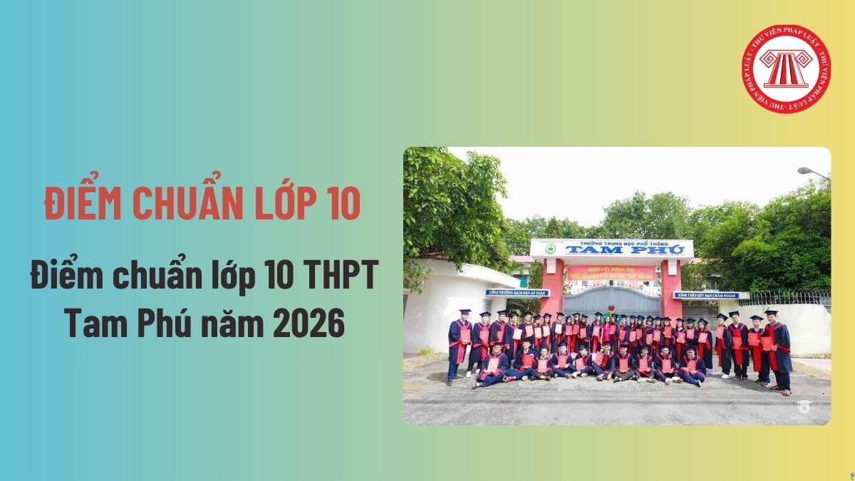 Pháp luật