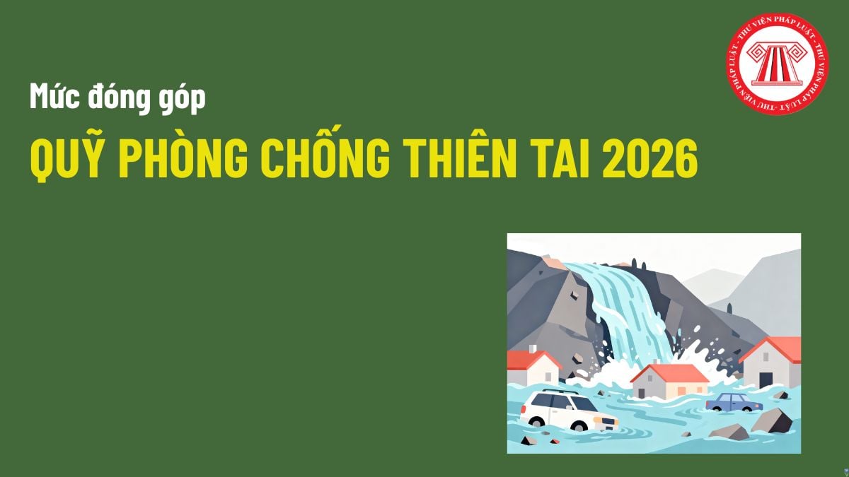 Pháp luật