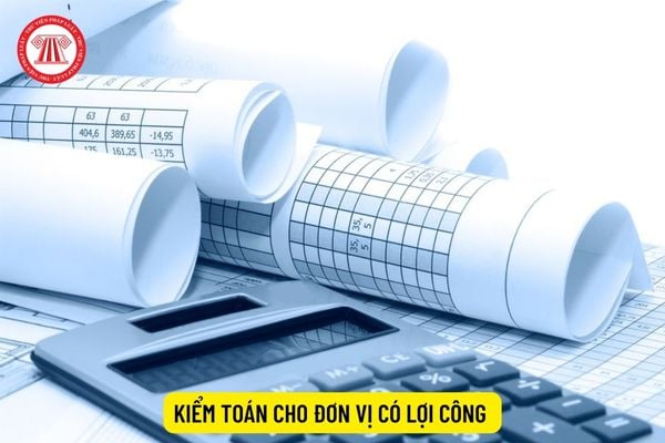 kiem-toan-cho-don-vi-co-loi-ich-cong-chung