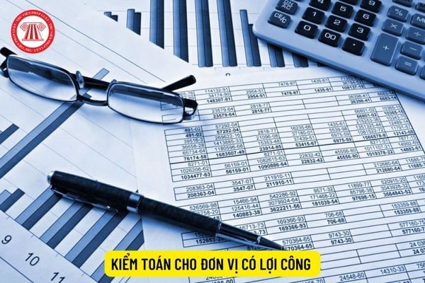 kiem-toan-cho-don-vi-co-loi-ich-cong-chung